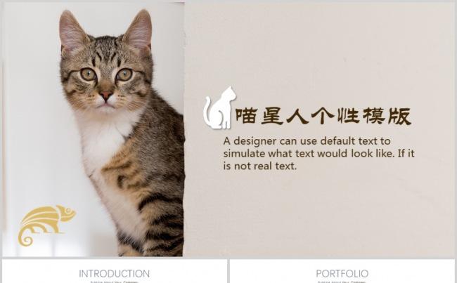 猫咪个性创意宠物PPT模板缩略图