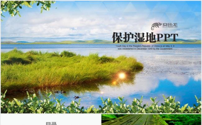 绿色环保世界湿地森林日动态PPT模板缩略图