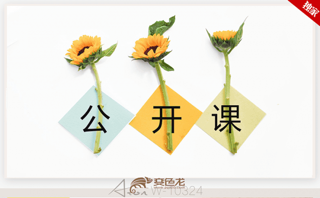 精美教师公开课说课通用培训演讲ppt动态模板缩略图