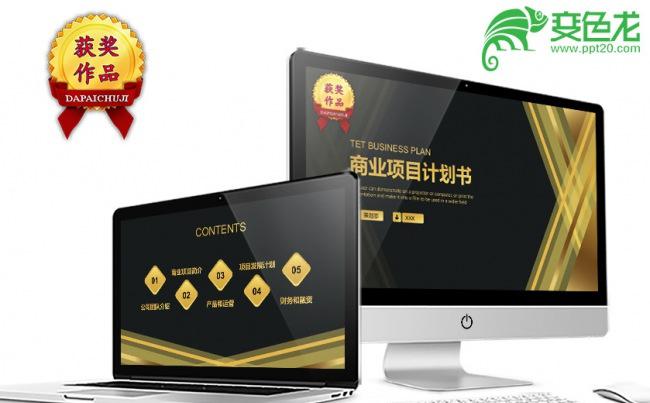 高端黑金商业项目计划书PPT模板缩略图