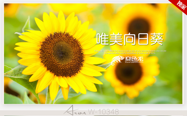唯美盛开的向日葵学校教育通用ppt动态模板缩略图