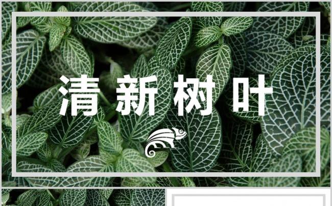 简约绿叶风格述职报告PPT模板缩略图