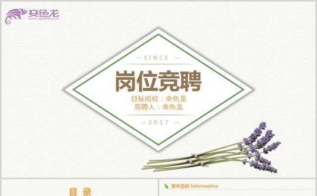 唯美简约清新述职报告岗位竞聘工作汇报职务报告ppt模版缩略图