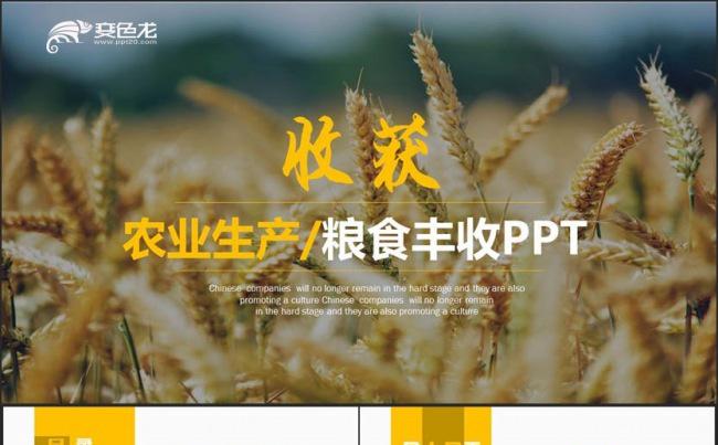 【收获】金色动感农业生产新农村建设粮食丰收招商农产品PPT缩略图