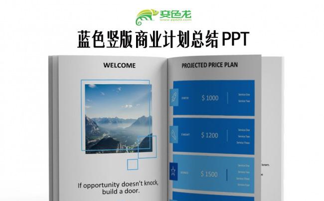 蓝色竖版简约商业计划书总结汇报PPT缩略图