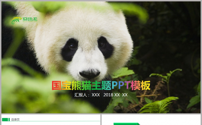 国宝大熊猫动物保护公益行动ppt动态模板缩略图