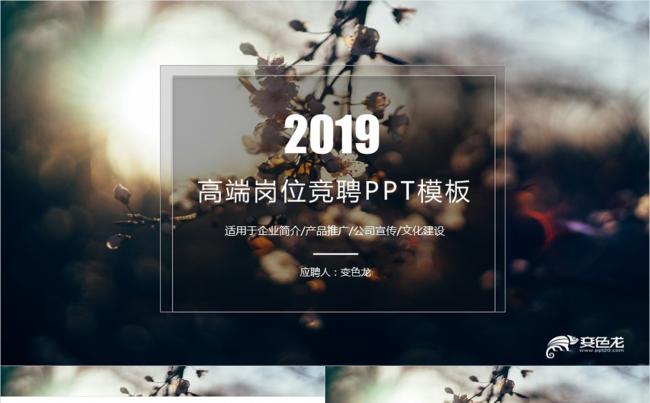 高端岗位竞聘个人介绍升职演讲PPT模板缩略图