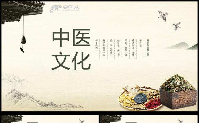 传统中医学中医院中医文化中草药PPT模板缩略图