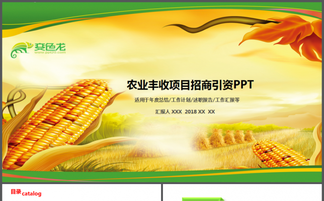农业粮食丰收农业科技发展规划招商引资总结汇报PPT模板缩略图