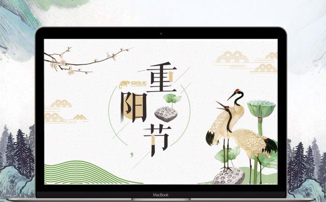 重阳节民族风俗节日PPT模板缩略图