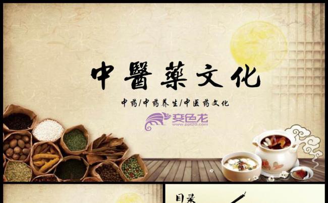 传统中医药养生文化ppt模版缩略图