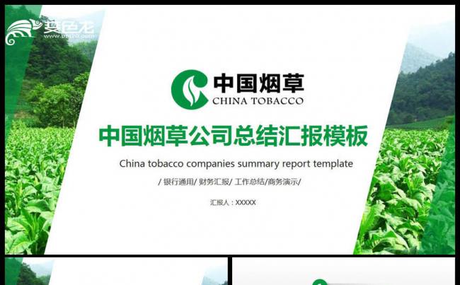 中国烟草工作总结PPT模板缩略图