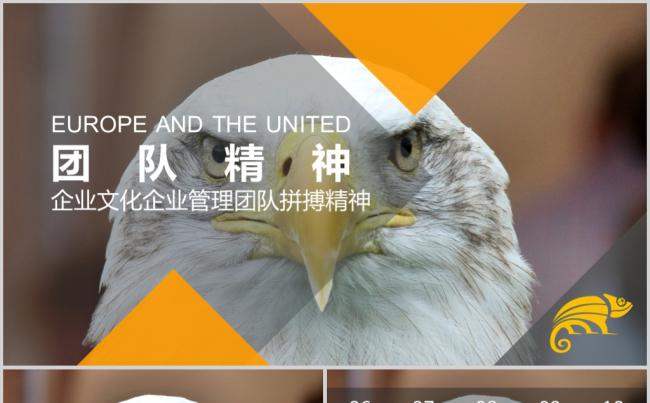 雄鹰团队文化团队精神PPT动态模板缩略图