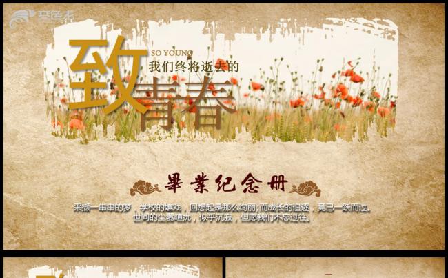 致青春毕业纪念册同学录联谊会记忆录PPT模板缩略图