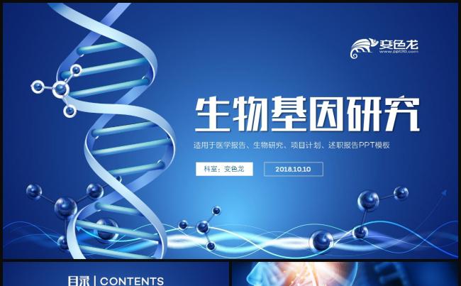 生物学术研究基因DNA医学研究PPT模板缩略图