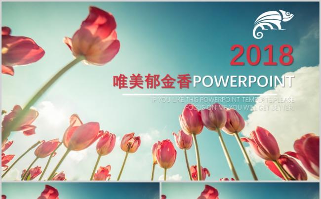 唯美郁金香花卉PPT动态模板缩略图