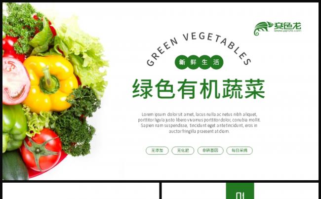 有机绿色天然农业蔬菜水果健康养生ppt模板缩略图
