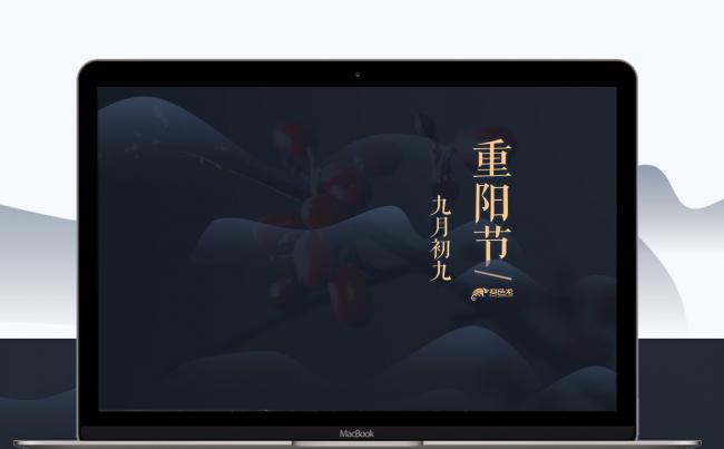 国风九九重阳节日PPT模板缩略图
