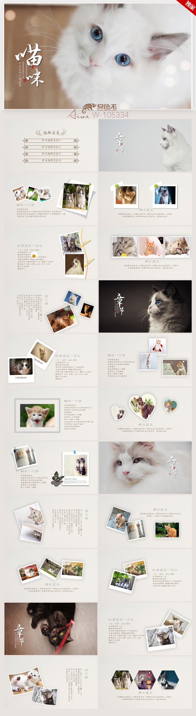 可爱萌宠猫咪合集电子相册ppt动态模板