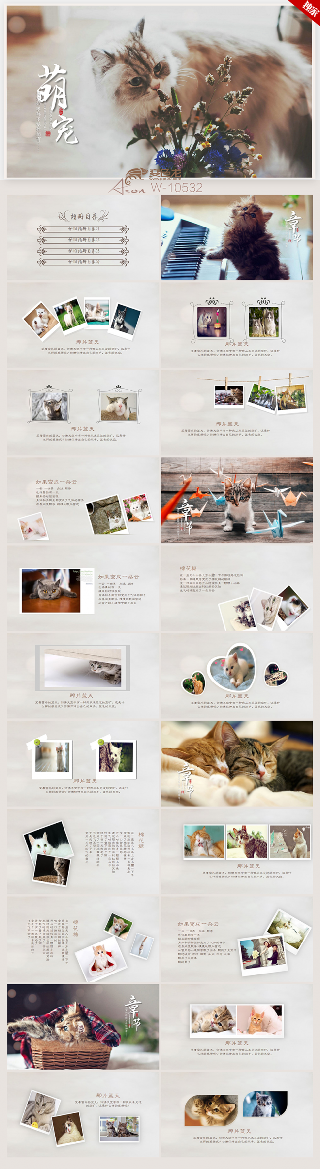 可爱萌宠猫咪合集电子相册ppt动态模板