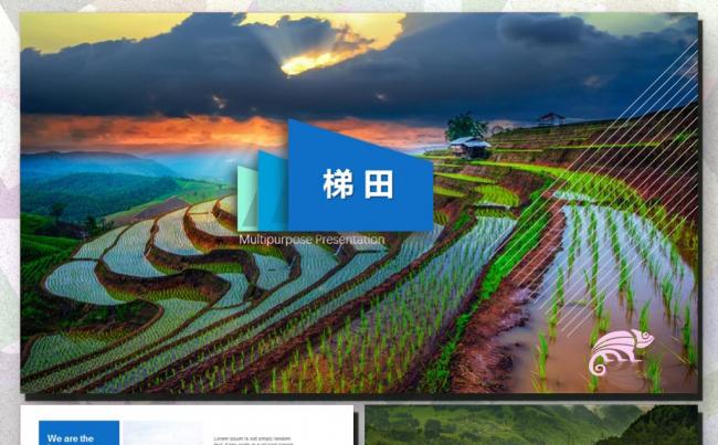 梯田水田农业类型PPT模版缩略图
