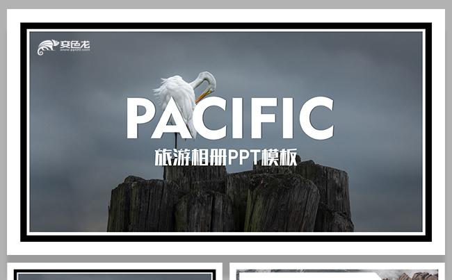 简约创意摄影展美术作品展旅游相册ppt缩略图