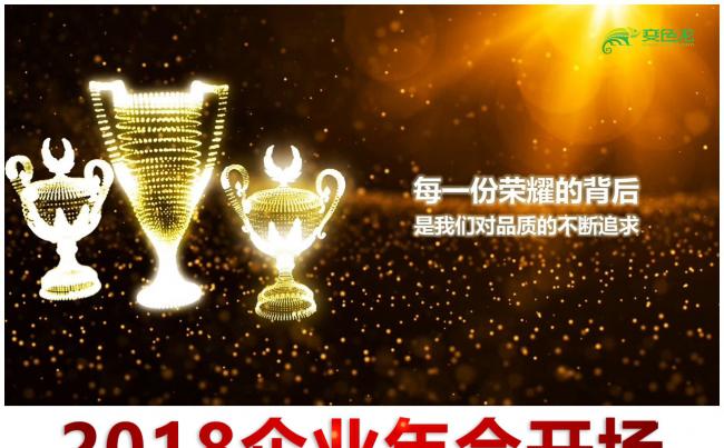 2018狗年企业励志年会宣传开场视频ppt模板缩略图