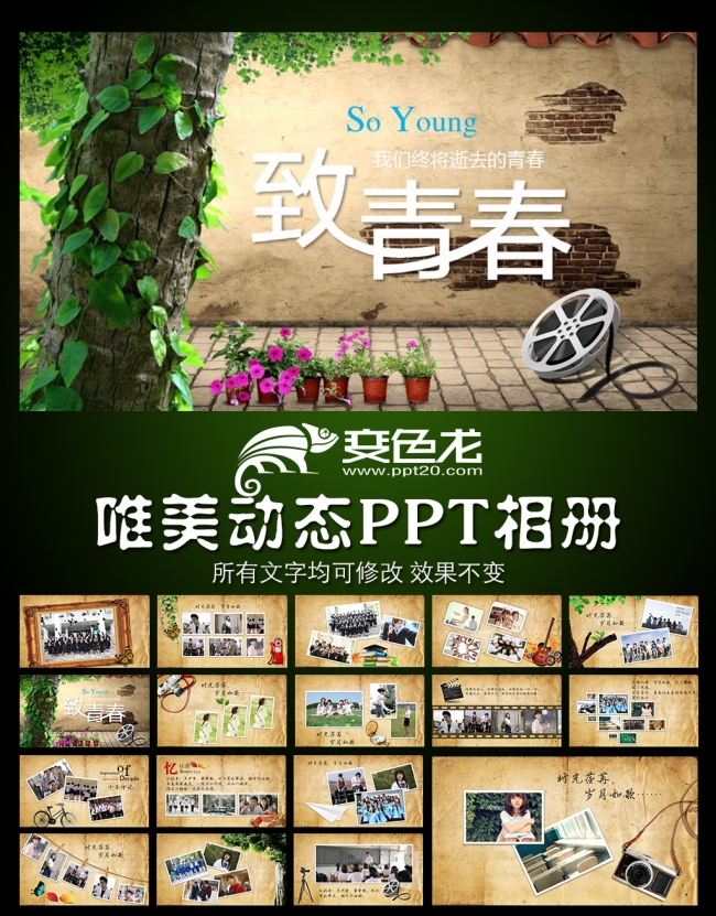 致青春唯美动态PPT模板相册