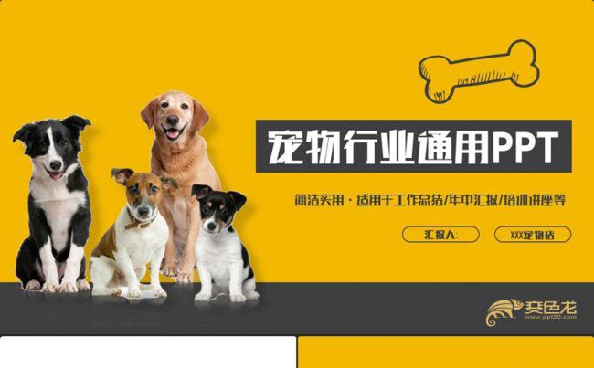 【宠物之家】动感宠物领养宠物行业宠物美容PPT缩略图