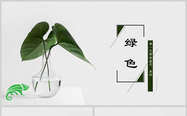 清新绿萝高雅论文答辩PPT动态模板缩略图