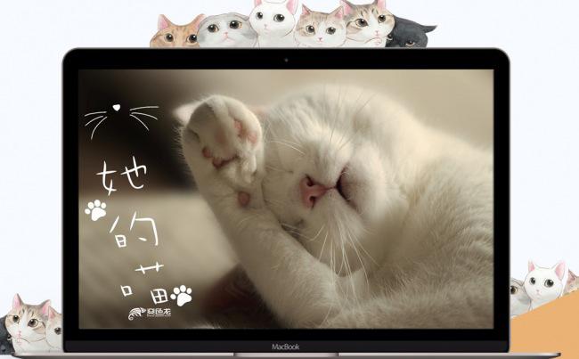 小清新可爱小猫咪相册PPT模板缩略图