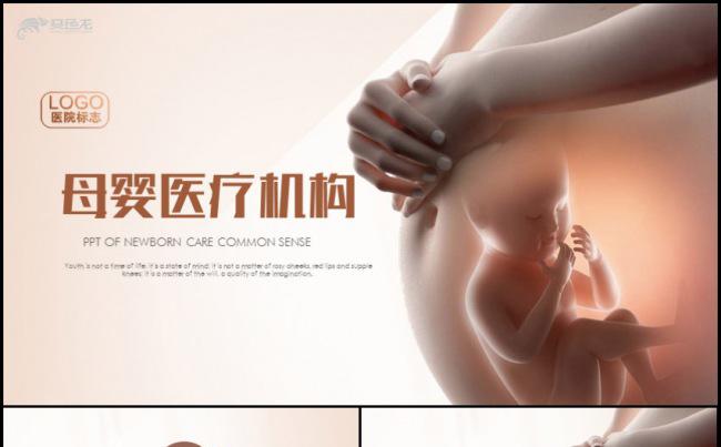 母婴医疗机构通用PPT动态模板缩略图