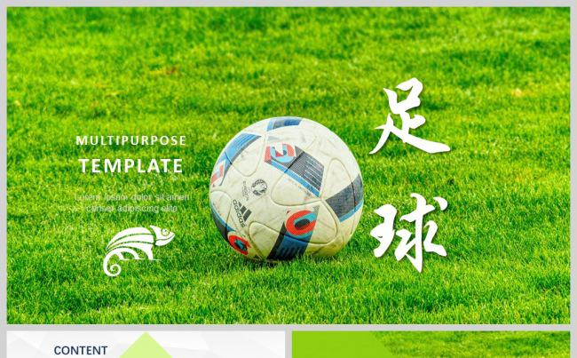 体育足球运动竞技拼搏精神ppt动态模板缩略图