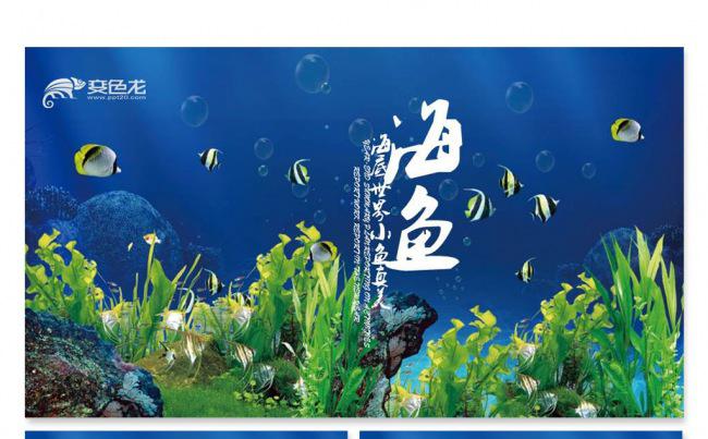 【飞哥PPT】唯美时尚海洋公园海底世界教育课件推广PPT模板缩略图