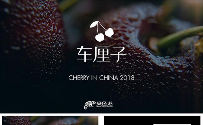 车厘子樱桃水果商业计划书PPT模板缩略图