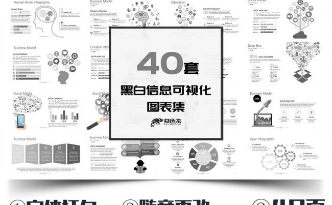 40套黑白信息可视化图表PPT模板缩略图