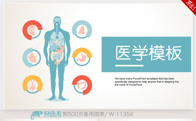 创意医疗科技 现代医学研究 实验室人体器官结构研究ppt模板缩略图