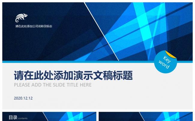 蓝白几何线条经典欧美风格商务通用静态PPT模板缩略图
