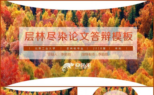 【层林尽染】论文申报答辩模板缩略图