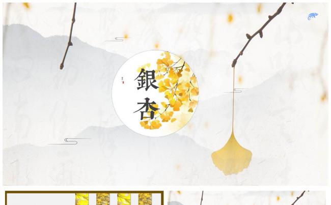 高端大气秋之银杏通用模板 画册风工作计划汇报总结演讲推介缩略图