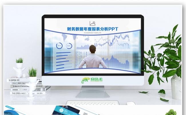 财务数据年度报表分析PPT缩略图