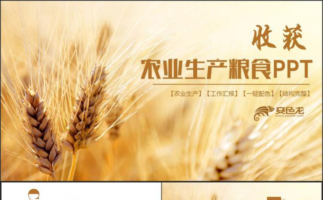 清新简洁农业生产粮食农产品招商新农村建设PPT缩略图