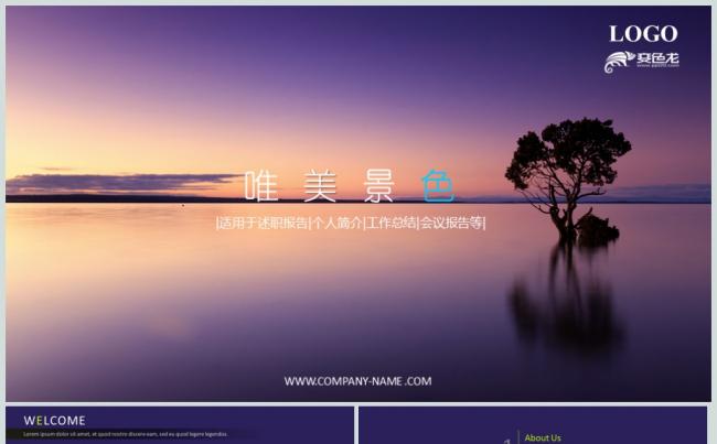 唯美浪漫公司介绍工作总结PPT动态模板缩略图