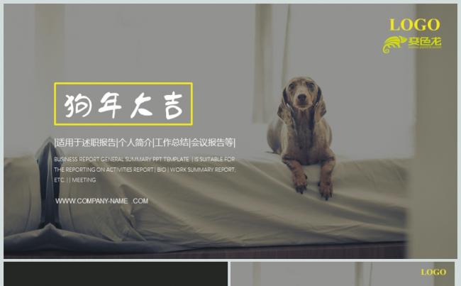 简约大气宠物狗相关PPT动态模板缩略图