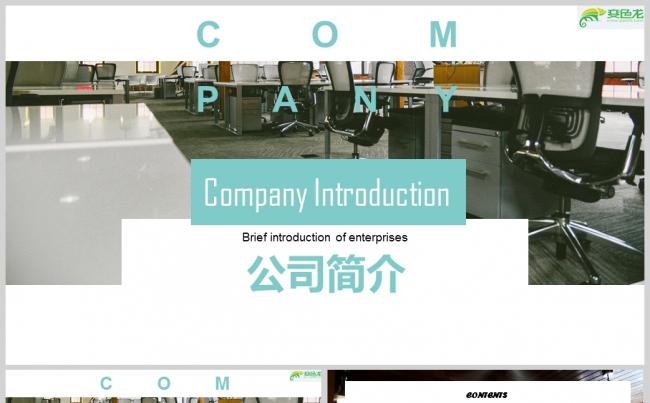天蓝色公司简介PPT模板缩略图