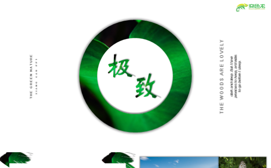 【香草PPT】简约极致绿色杂志摄影工作汇报年中总结模板缩略图
