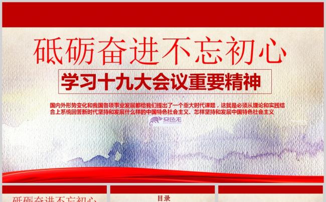 05党支部学习十九大会议重要精神PPT模板缩略图