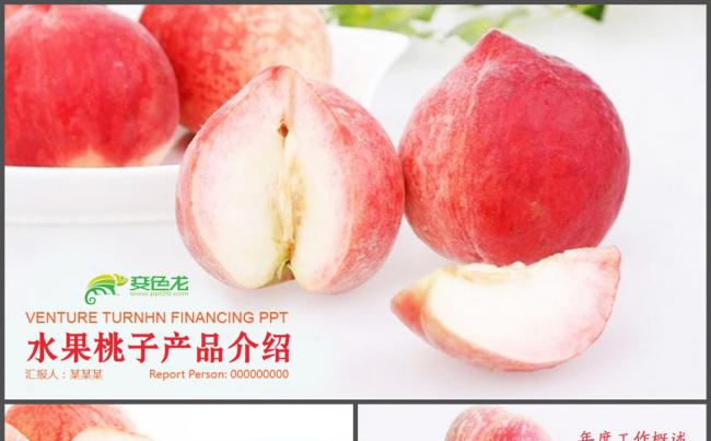 农业水果桃子产品介绍PPT模板缩略图