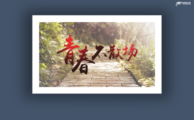 【香草PPT】青春不散场魅力青春纪念册高中毕业大学毕业纪念缩略图