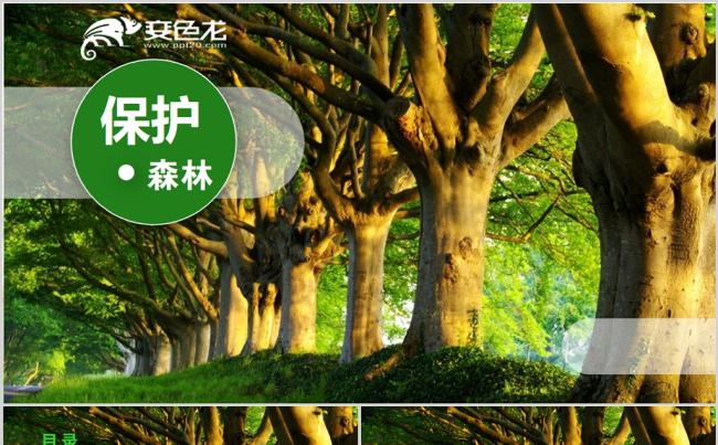 森林保护绿色教学退耕还林工作汇报模板缩略图